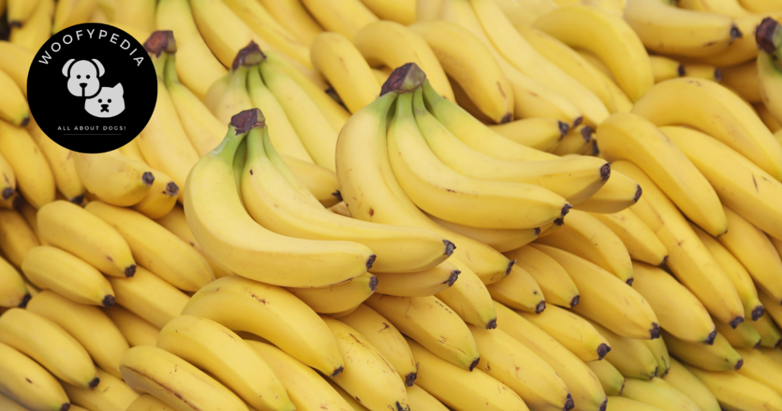 A close-up of a pile of fresh, ripe pineapples with vibrant green leaves and golden-yellow skin. The "Woofypedia" logo is displayed in the top left corner, connecting the image to dog-related content about fruits and pet safety.