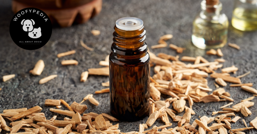 A small amber glass bottle surrounded by scattered wood chips, with additional bottles of essential oils blurred in the background. The Woofypedia logo featuring a dog and cat graphic is in the top left corner.